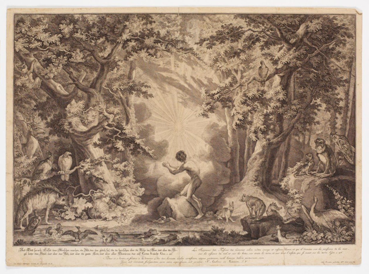 Adamovo stvoření od Johann Elias Ridinger