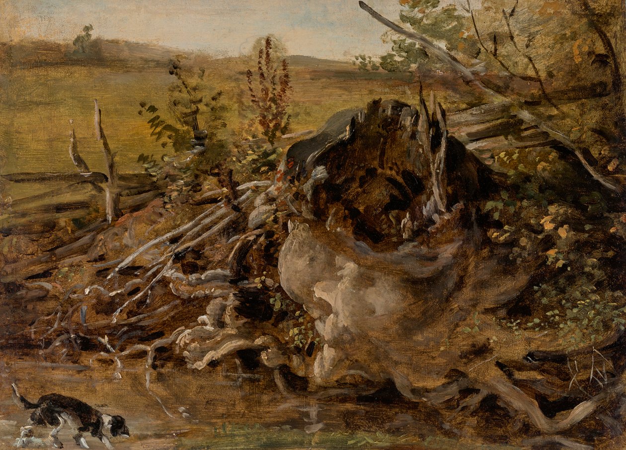 Hnijící pařez a honič od Johann Georg von Dillis