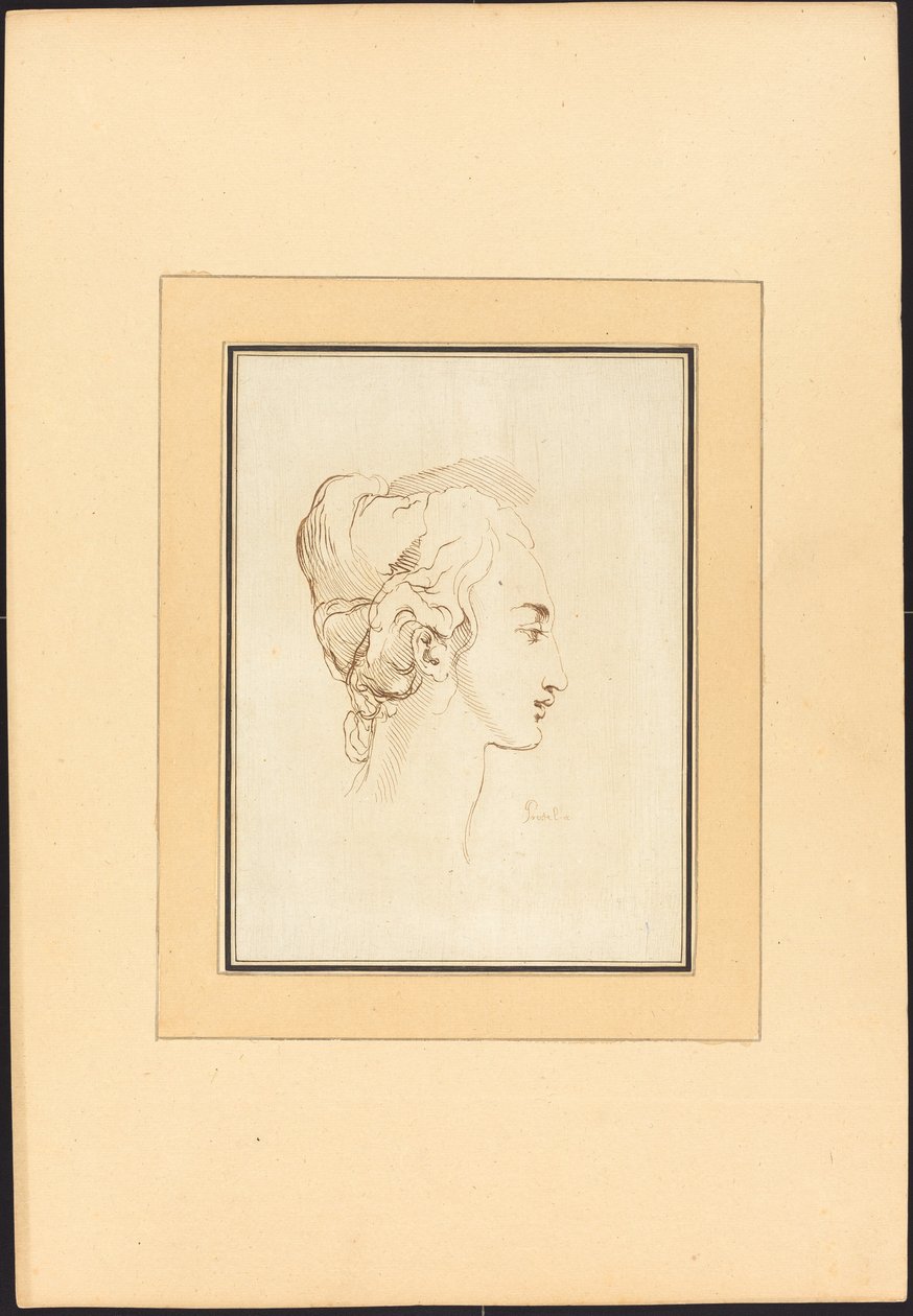 Hlava ženy od Johann Gottlieb Prestel after Guercino