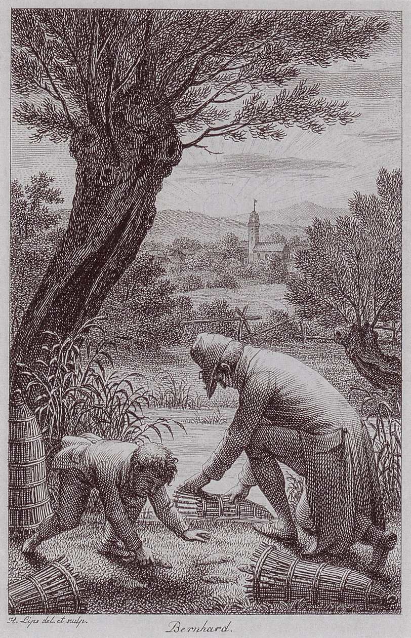 BernhardJHLipsi od Johann Heinrich Lips
