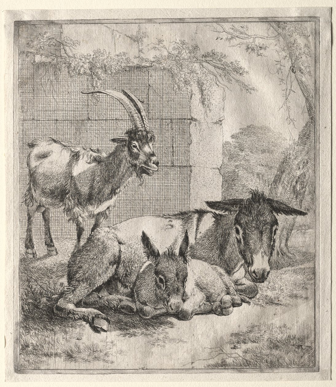 Koza a osli. od Johann Heinrich Roos