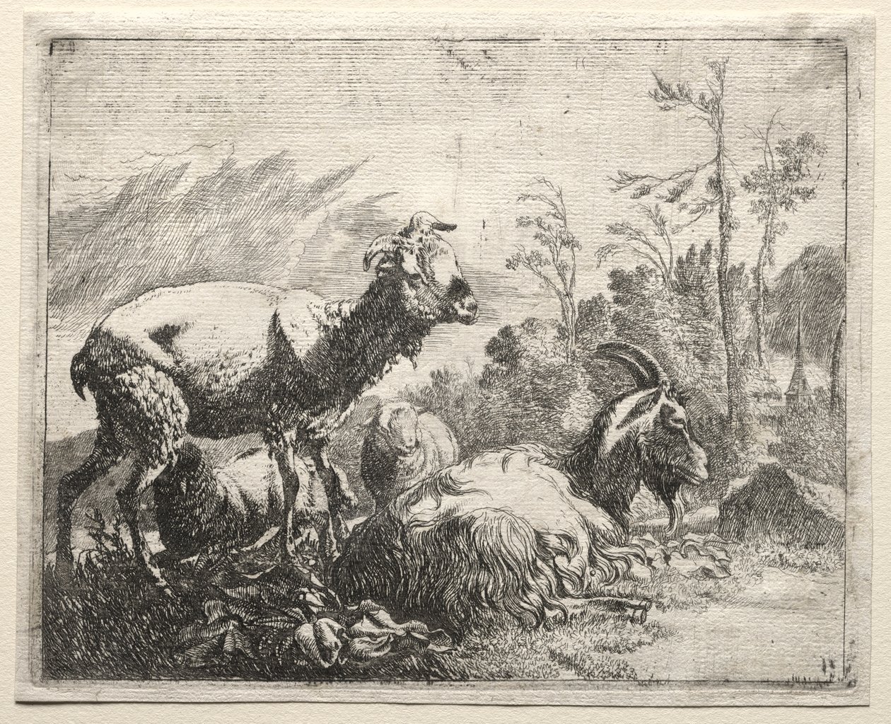 Kozy od Johann Heinrich Roos