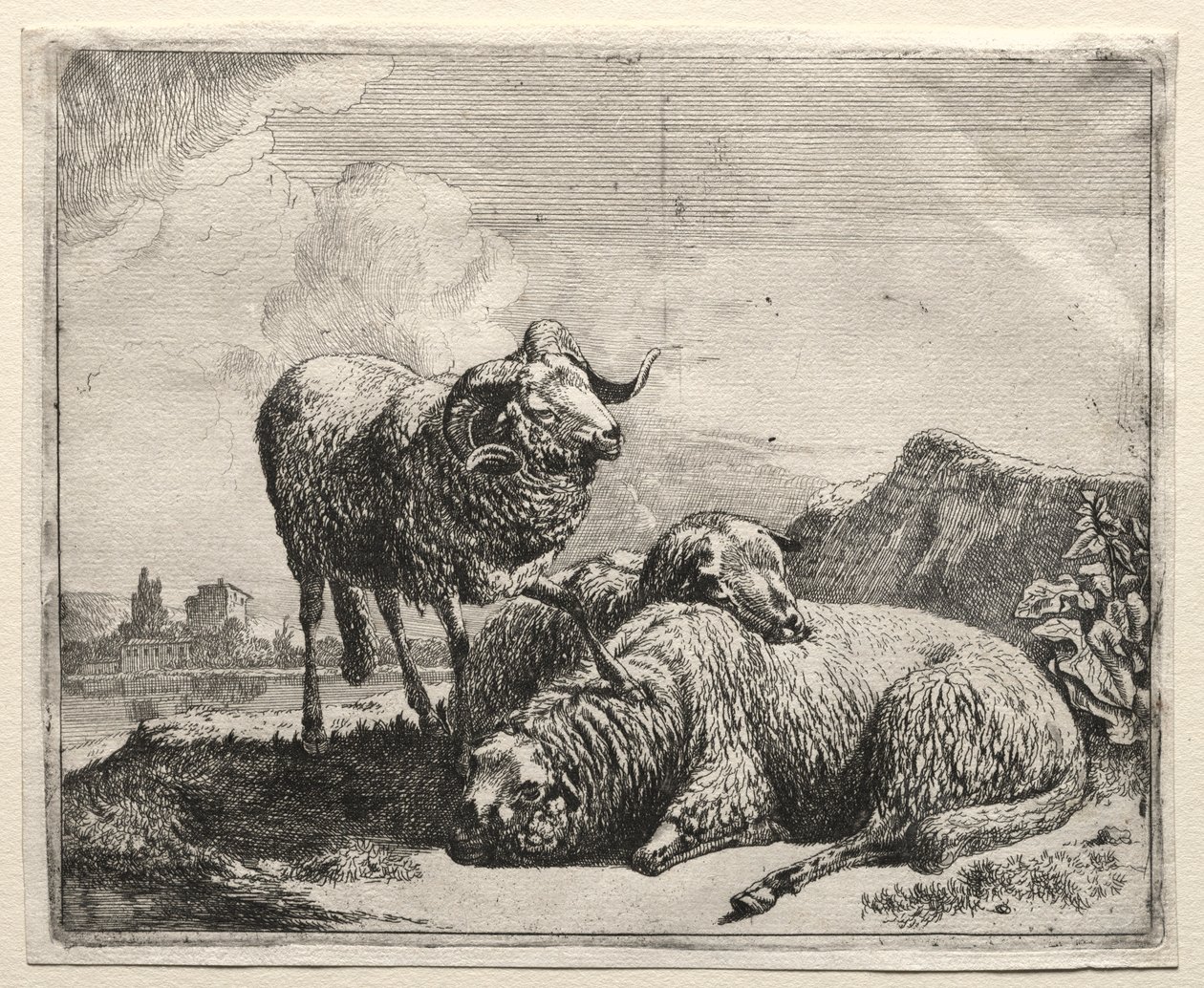 Ram a dvě ovce, 1665. od Johann Heinrich Roos