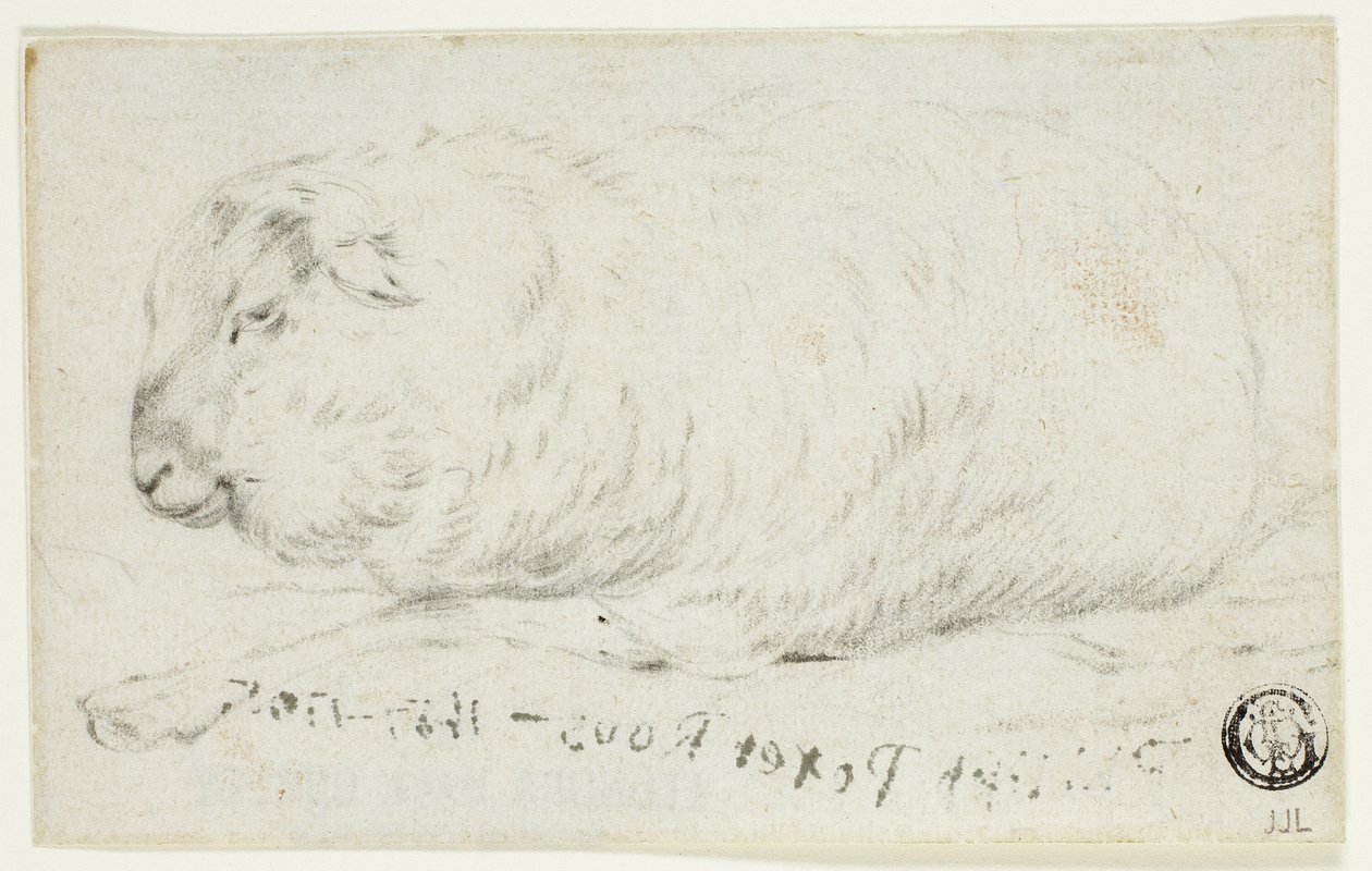 Ležící ovce od Johann Heinrich Roos