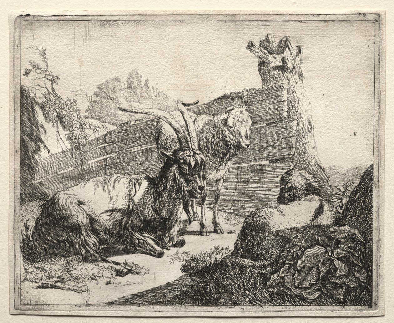 Živý plot, 1665. od Johann Heinrich Roos