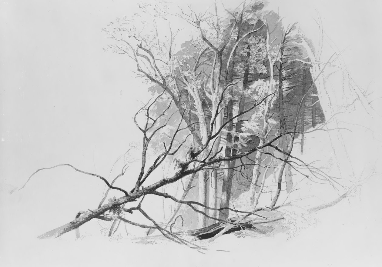 Lesní scéna, . od Johann Hermann Carmiencke