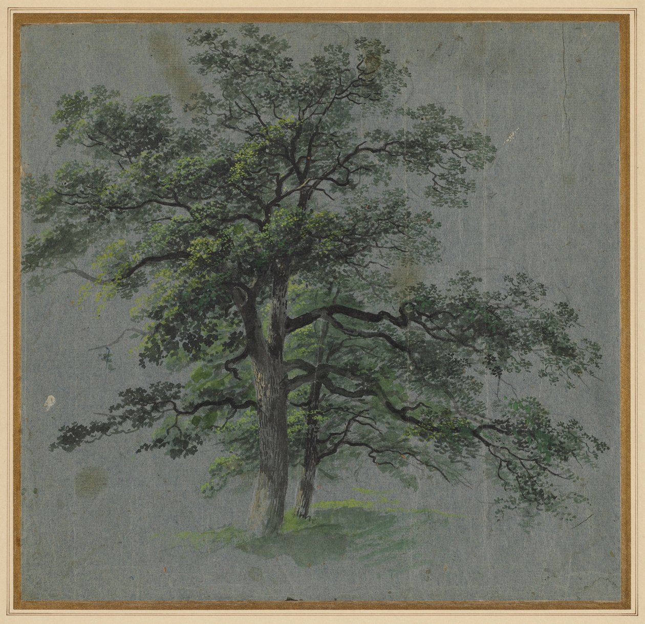 Dva stromy (recto) od Johann Jacob Dorner