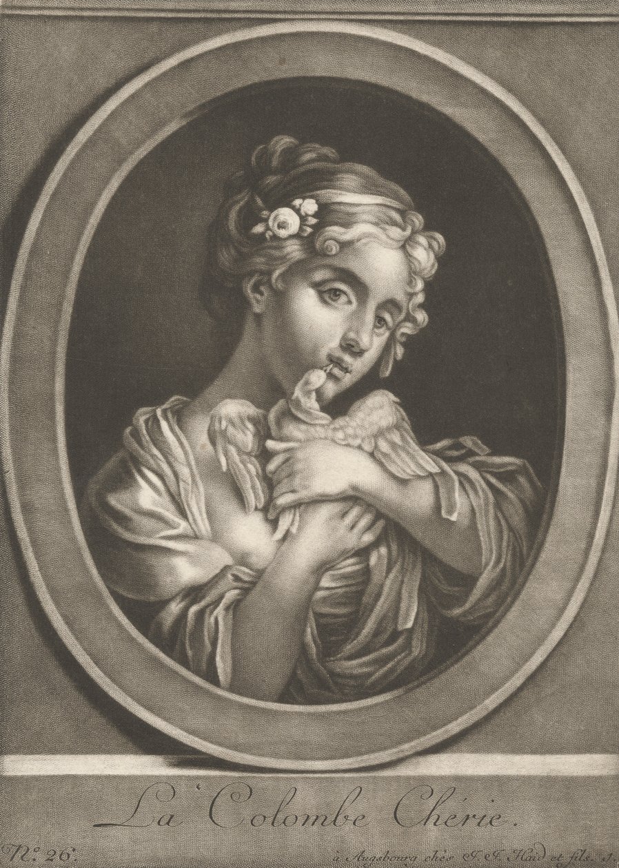 Milá holubice od Johann Jacobus Haid