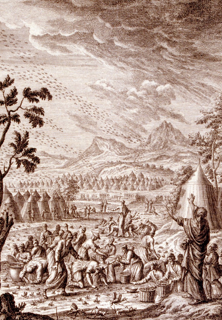 Hebrejci bojující s morem kobylek od Johann Jakob Scheuchzer