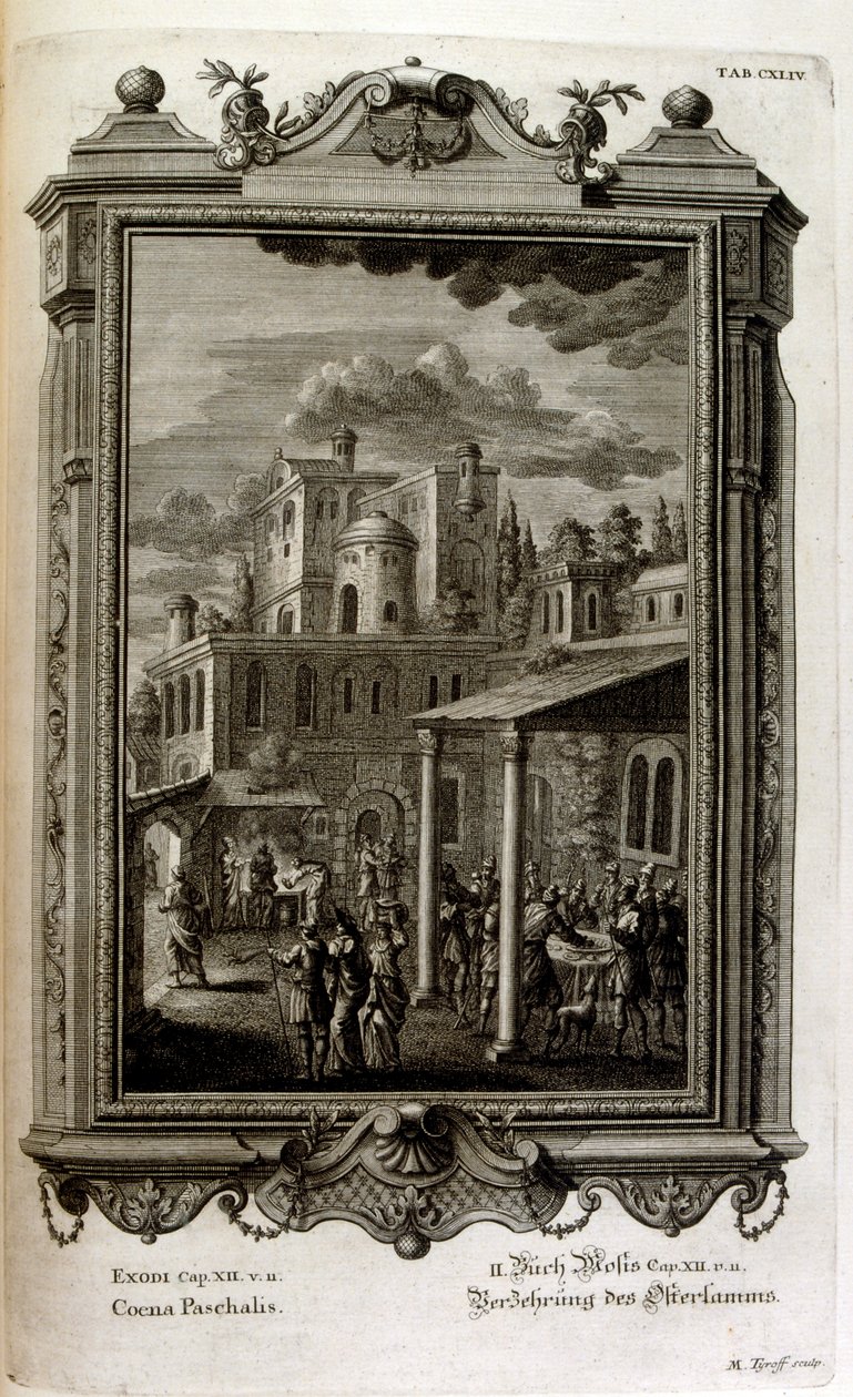 Ilustrace od Johann Jakob Scheuchzer