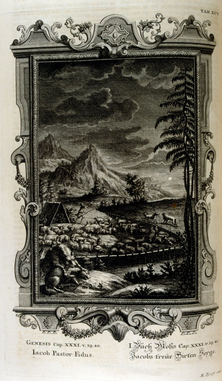 Jacobsova pole od Johann Jakob Scheuchzer