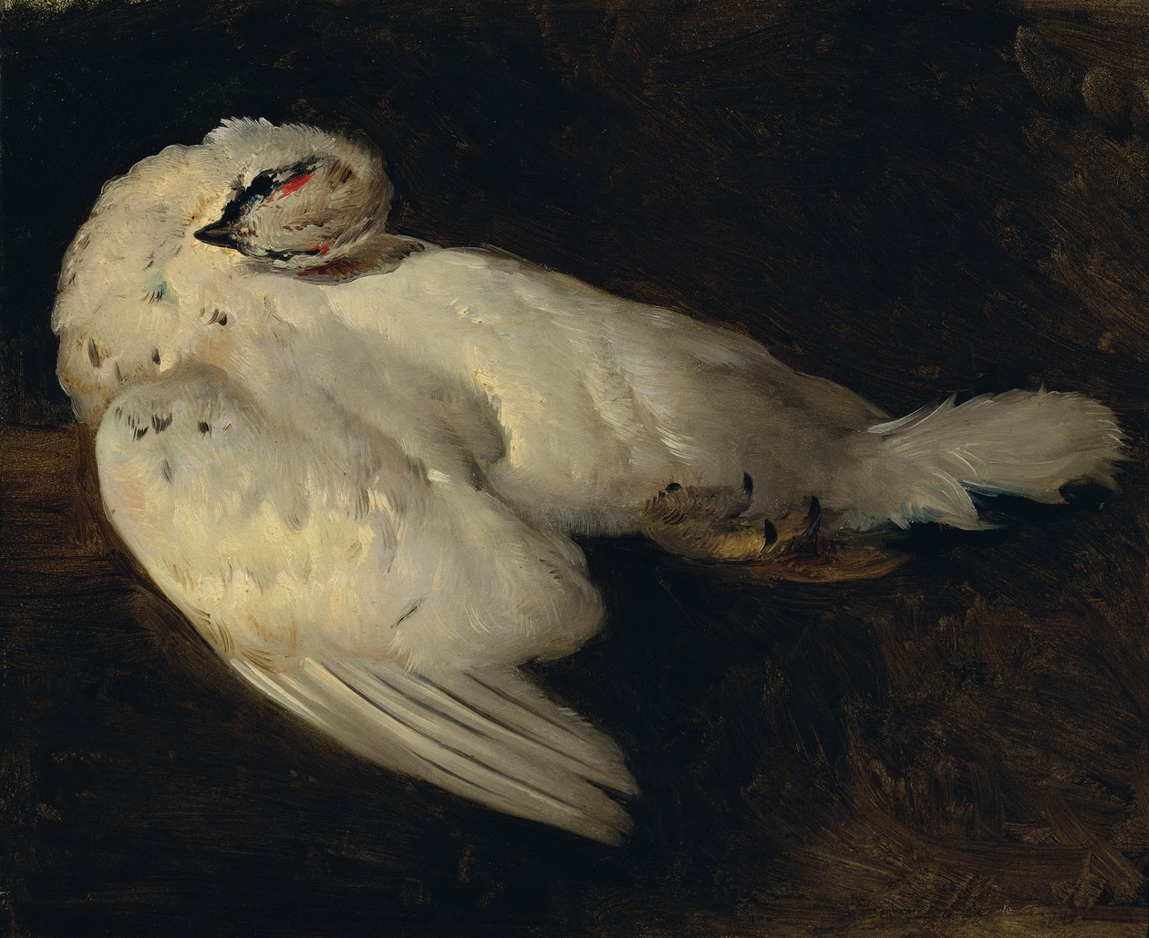 mrtvý ptarmigan od Johann Matthias Ranftl