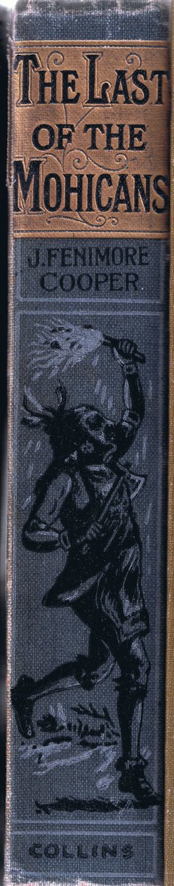 Návrh páteře, 1910 od Johann Nepomuk Schonberg