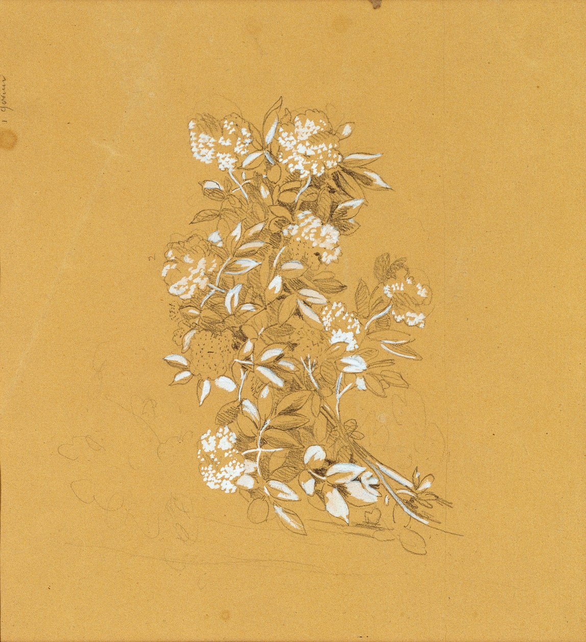 Blumenbouquet od Johann Peter Krafft