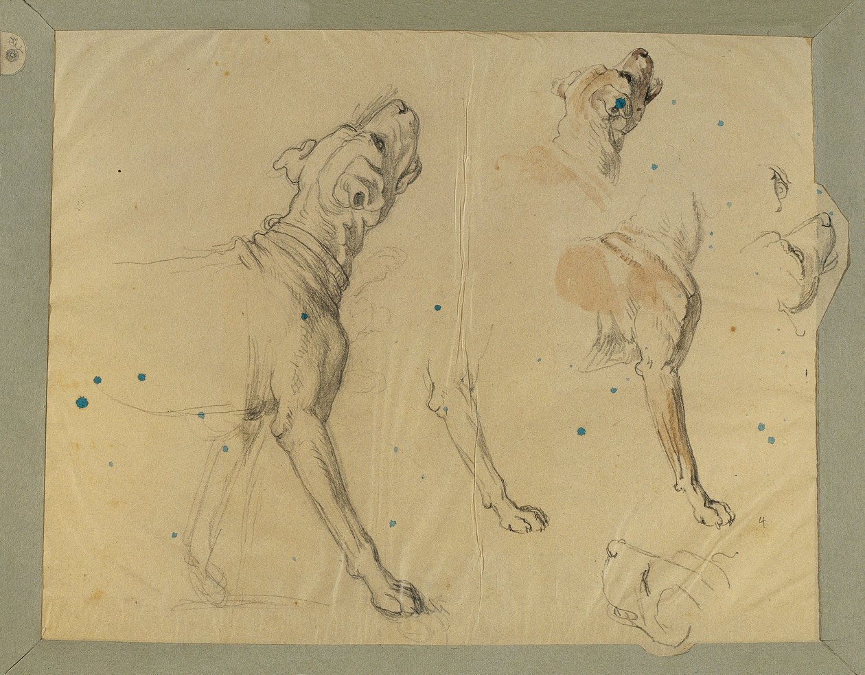 Studie psa pro „Návrat muže Landwehru domů“ (1820) od Johann Peter Krafft