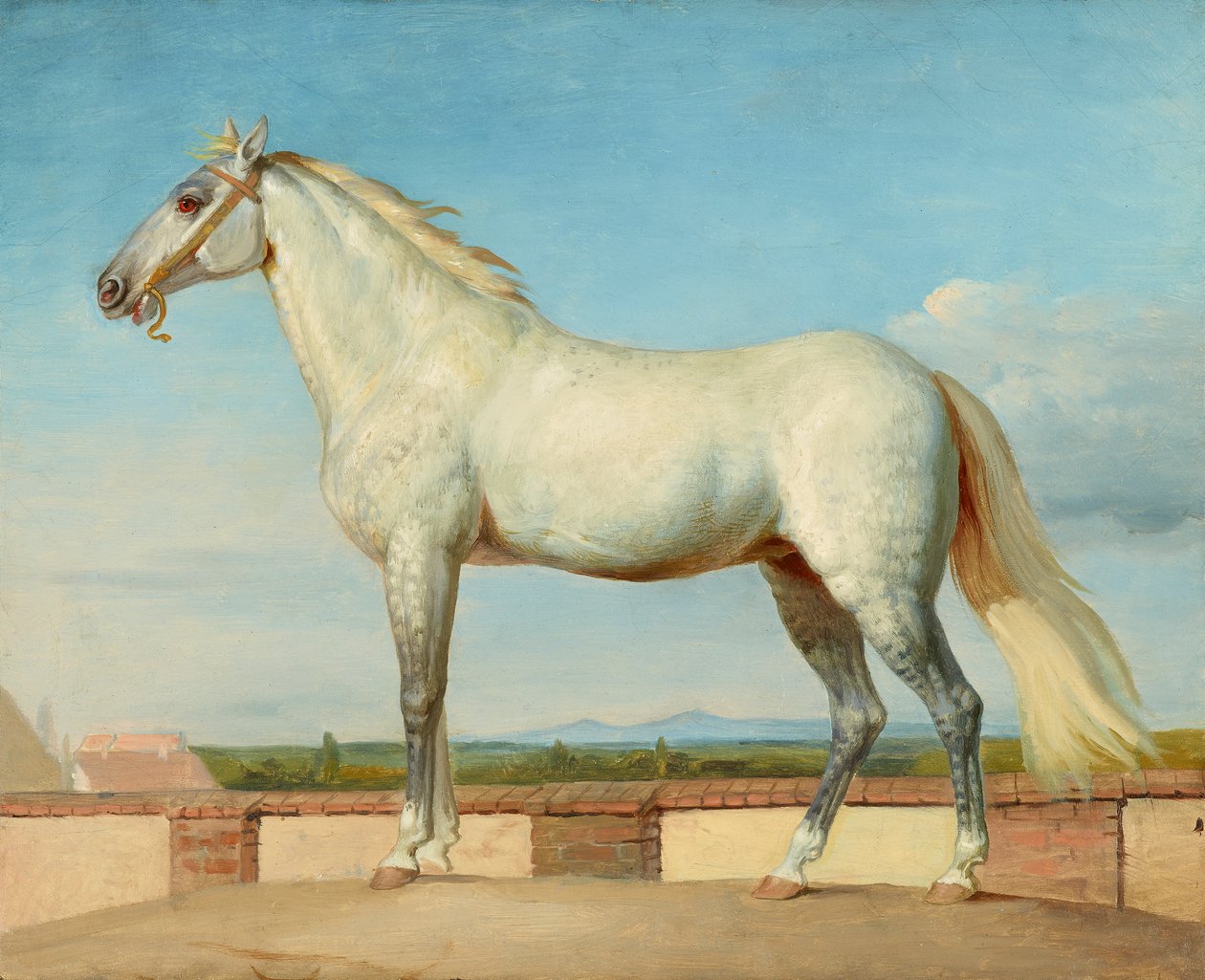 Plíseň před nízkou zídkou od Johann Peter Krafft