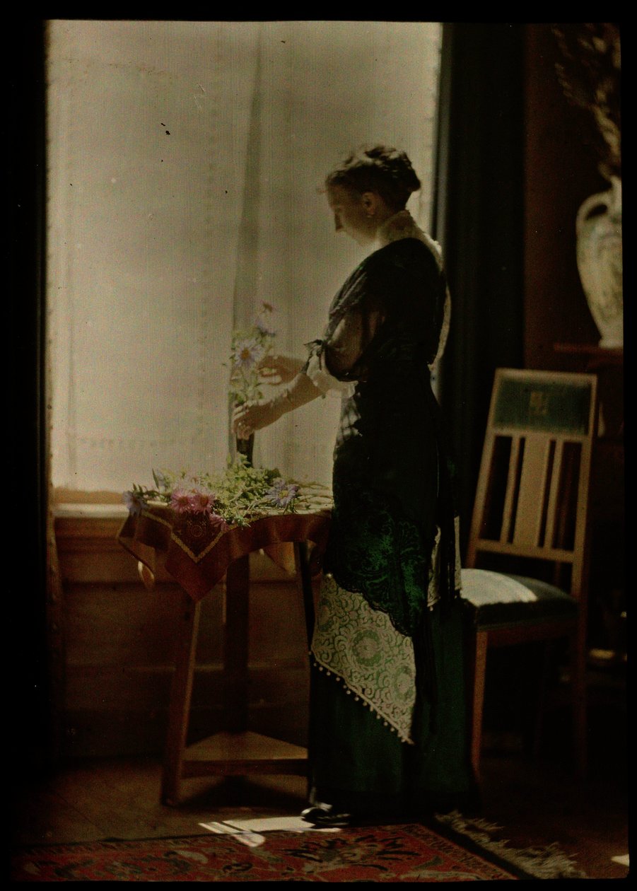 Žena u okna od Johannes Hendrikus Antonius Maria Lutz
