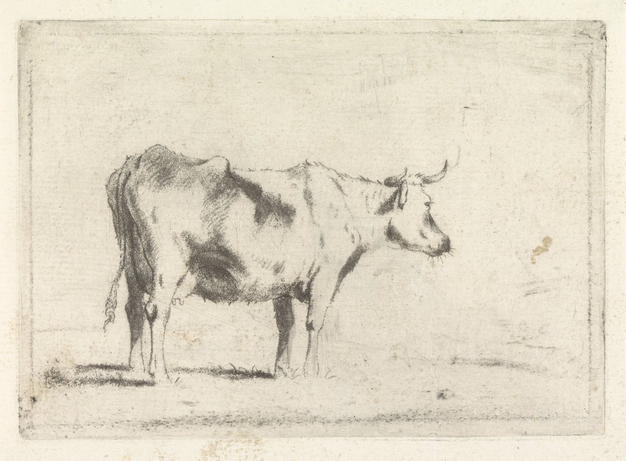 Kráva, vpravo od Johannes Janson (possibly)