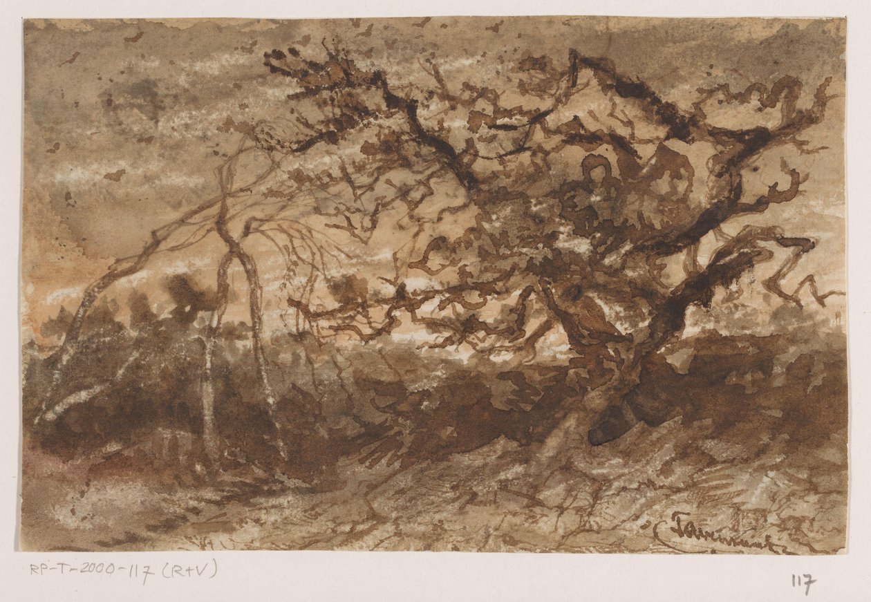 Strom při západu slunce od Johannes Tavenraat (signed by artist)
