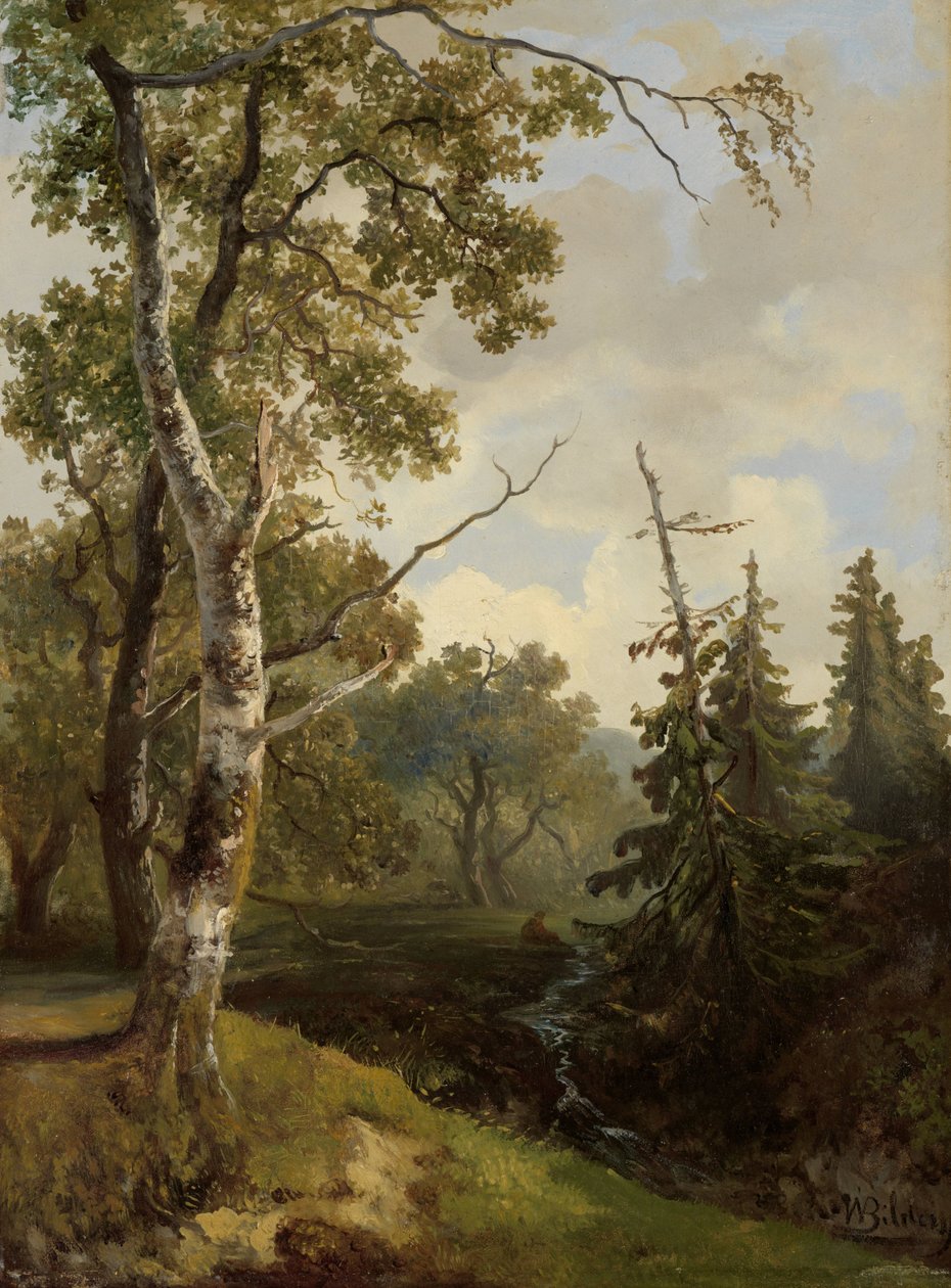 Výhled na les u Wolfheze. od Johannes Warnardus Bilders