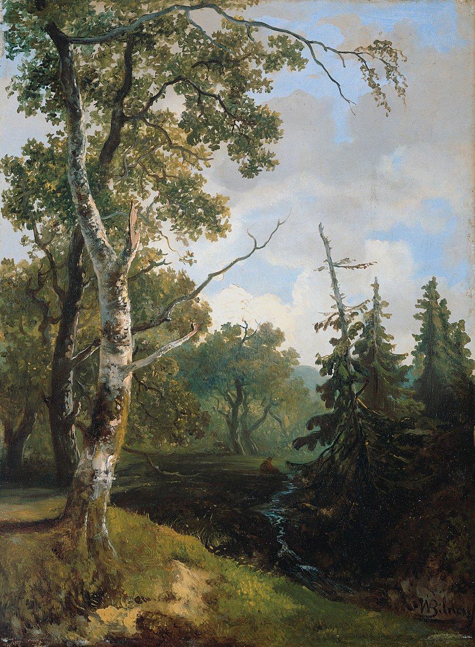 Pohled na les u Wolfheze. od Johannes Warnardus Bilders