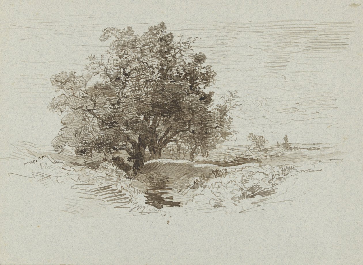Skupina dubů ve Wolfheze od Johannes Warnardus Bilders
