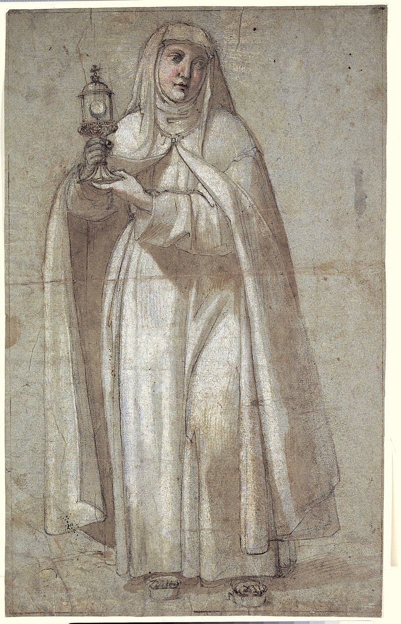 Slon od Johannes Wiedewelt