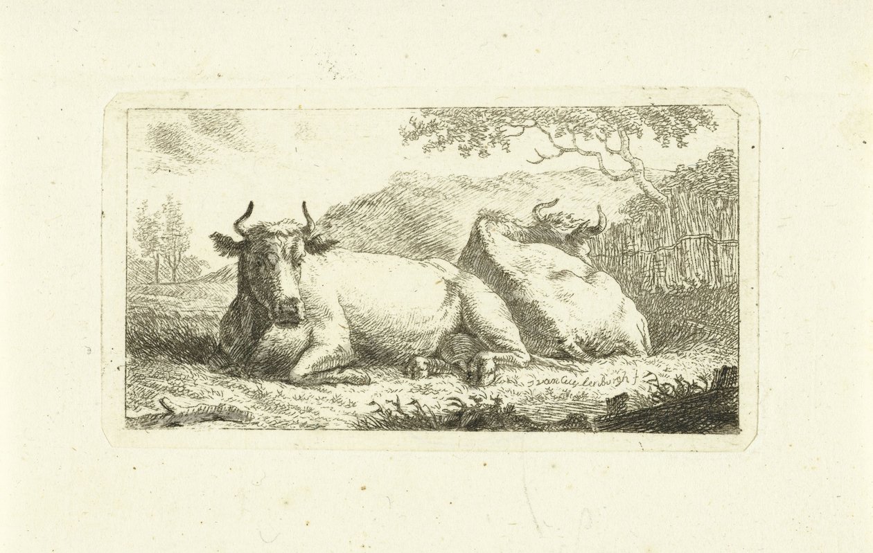 Dvě ležící krávy od Johannes van Cuylenburgh