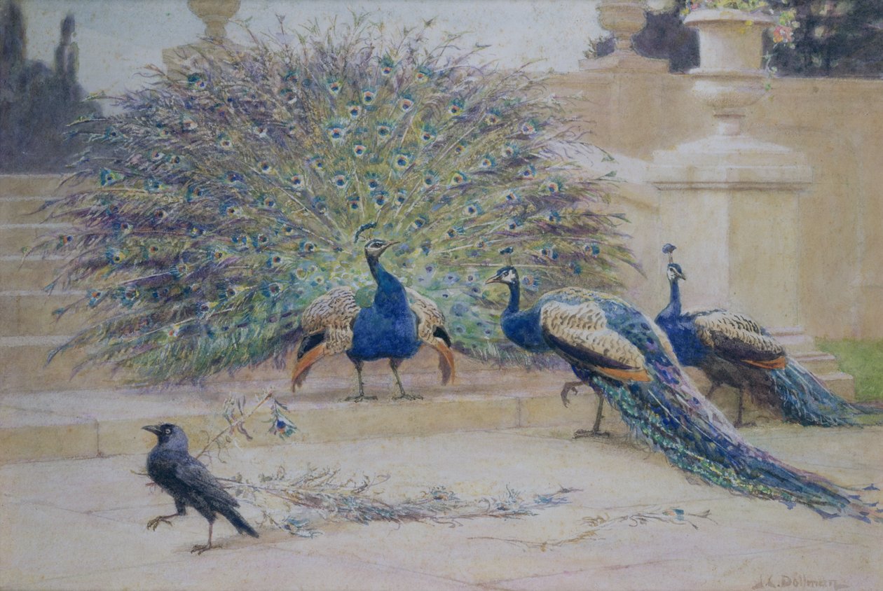 Vypůjčený Plume od John Charles Dollman