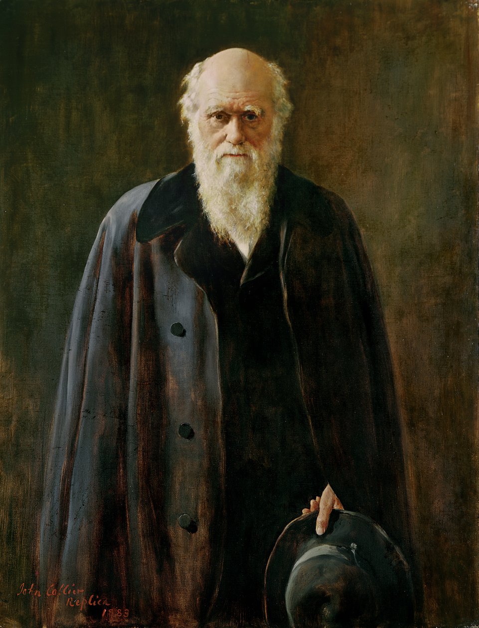 Portrét Charlese Darwina (1809-1882) 1883 od John Collier