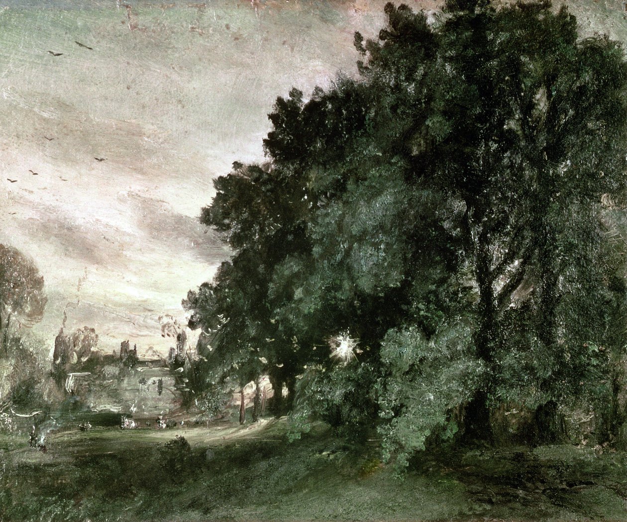 Studium stromů (olej na papíře) od John Constable