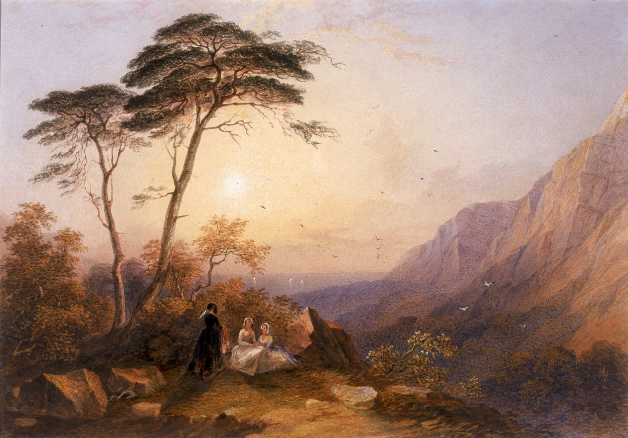 Krajina (barva těla) od John Edmund Buckley