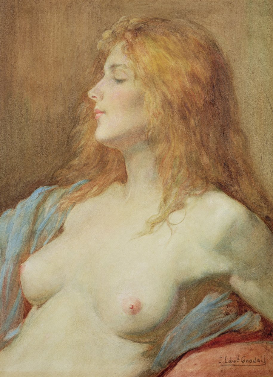 Zrzka od John Edward Goodall