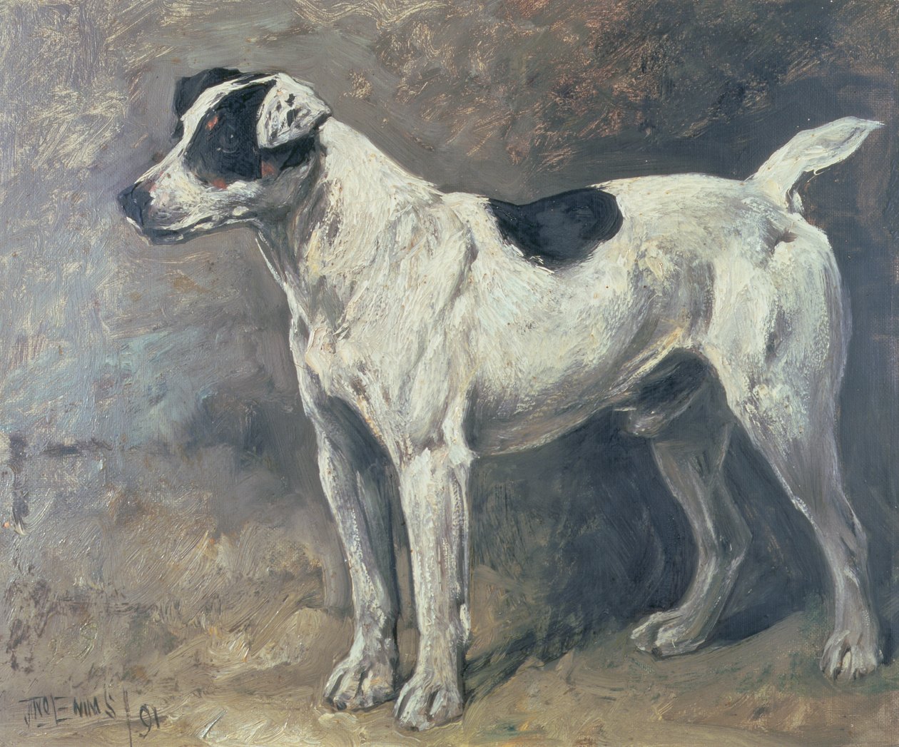 Jack Russell, 1891 od John Emms