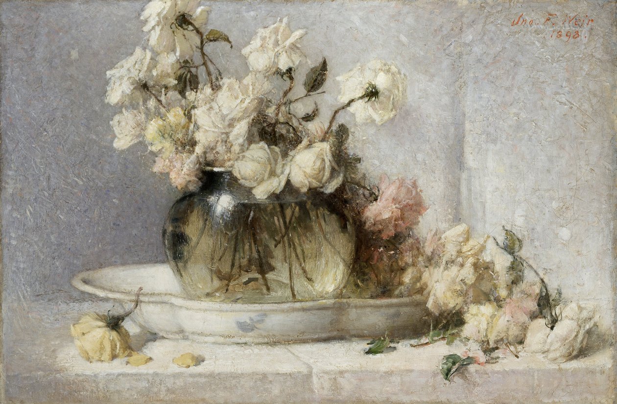 Růže od John Ferguson Weir