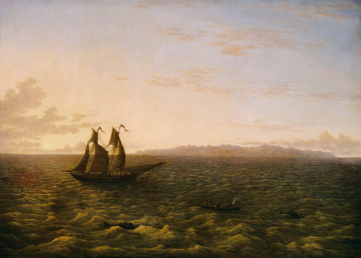 Ostrov Madeira od John Glover