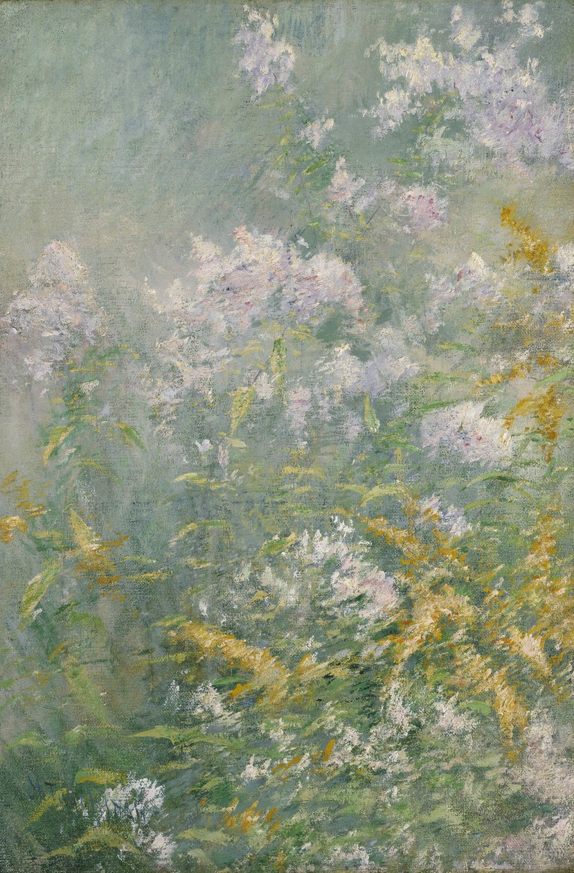 Meadow Flowers (Golden Rod and Wild Aster) od John Henry Twachtman