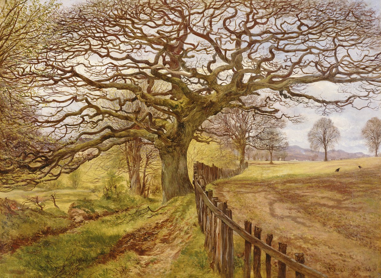 Strom, 1861 od John Milne Donald