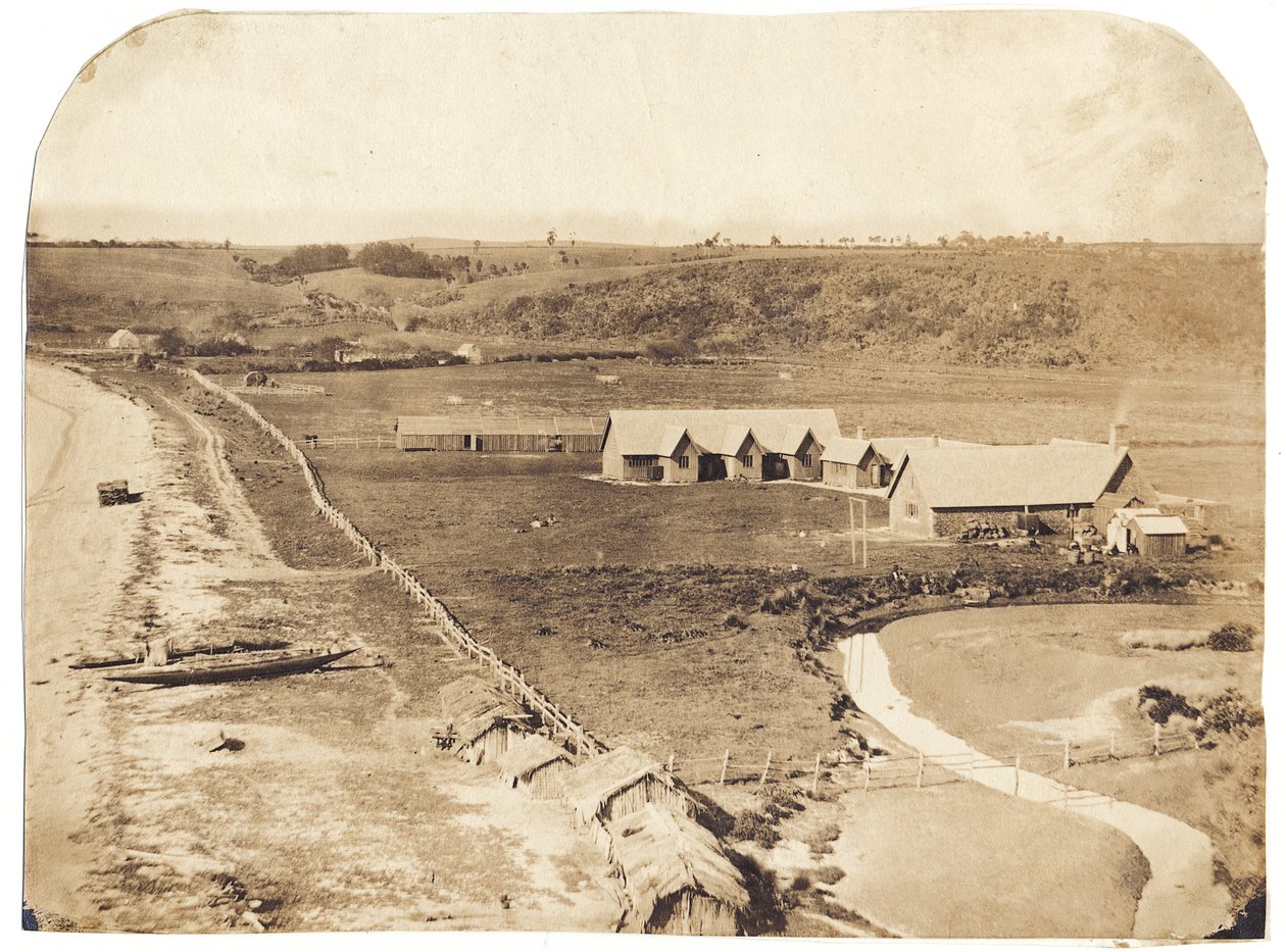 Kohimarama, c.1860 (albumenizovaný solný tisk) od John Nicol Crombie
