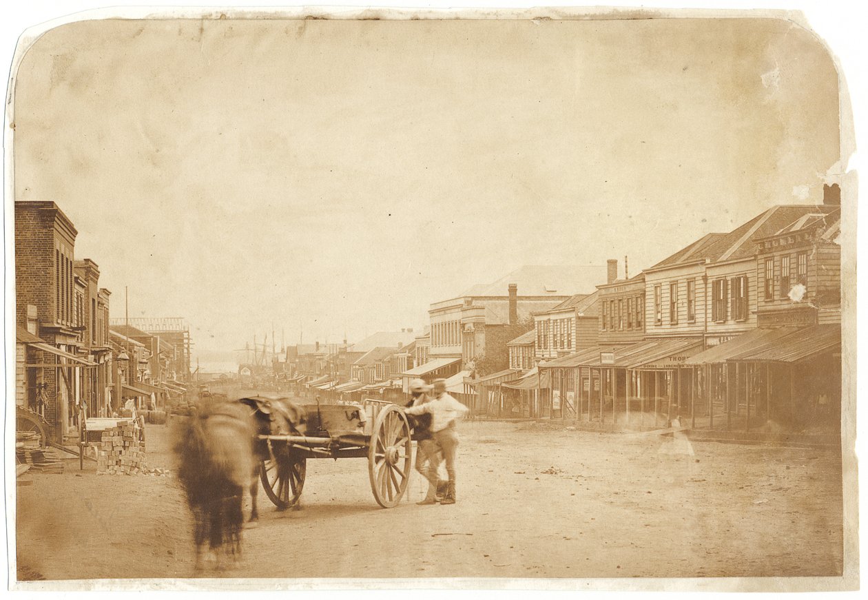 Upper Queen Street, Auckland, po roce 1859 (albumenizovaný solný tisk) od John Nicol Crombie