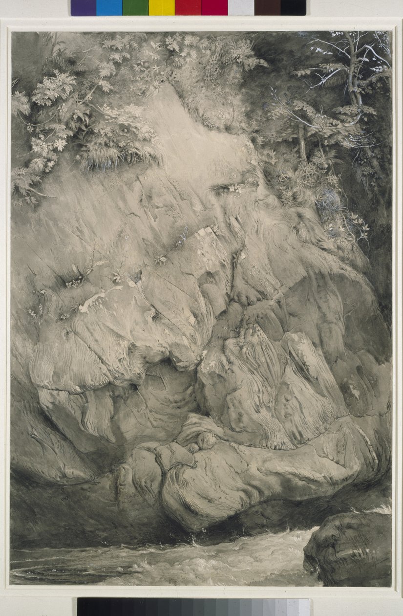 Study of Gneiss Rock, Glenfinlas, 1853-54 (pero, mytí a kvaš na papíře) od John Ruskin