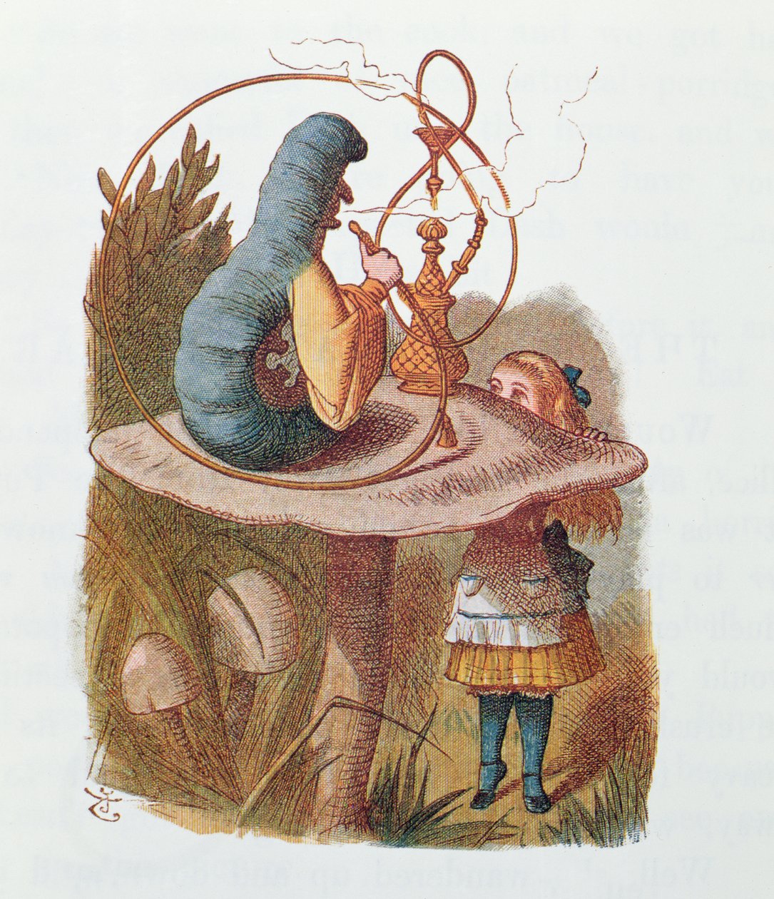 Alenka a housenka, ilustrace z 