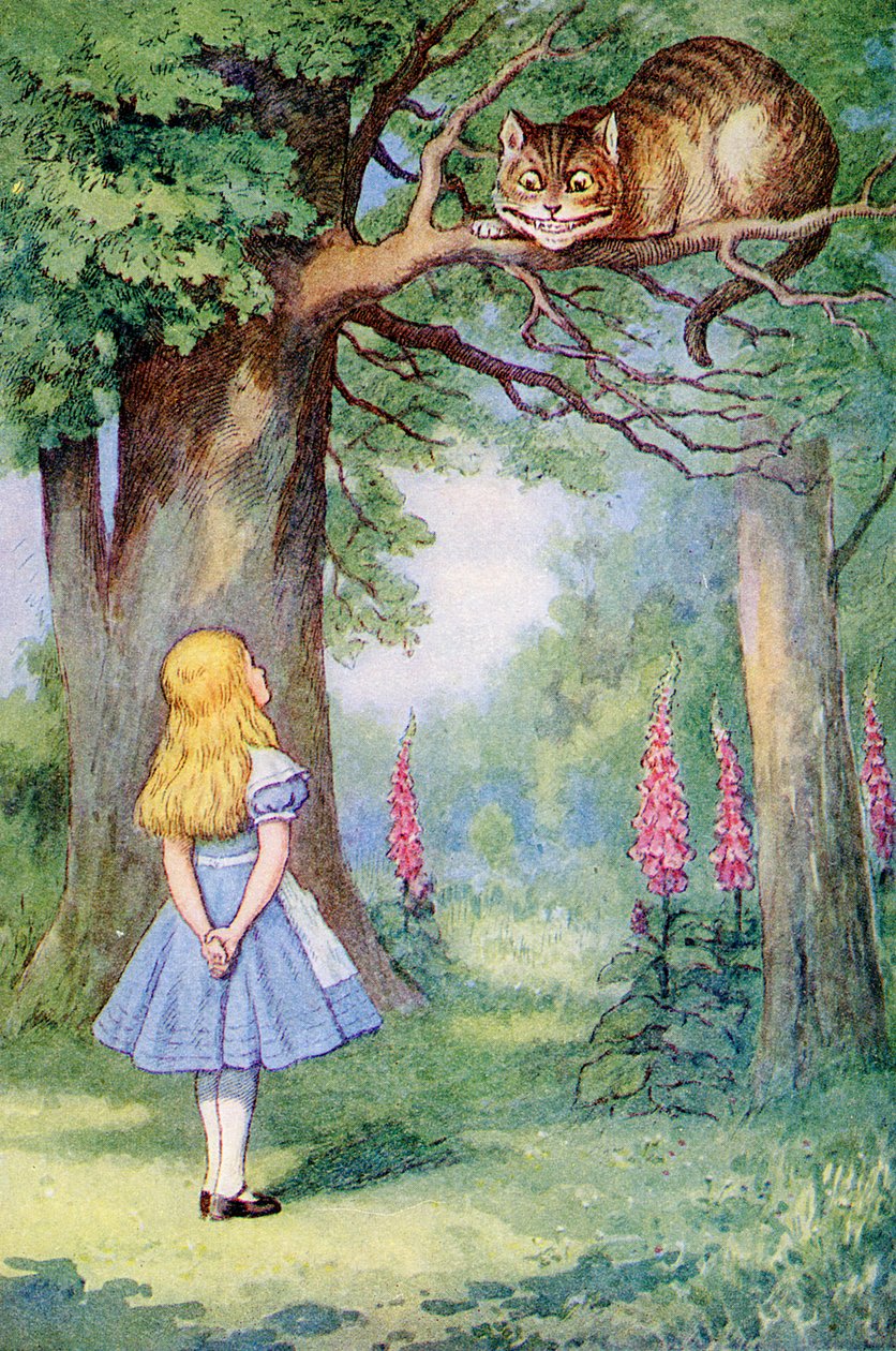 Alice and the Cheshire Cat, ilustrace z 