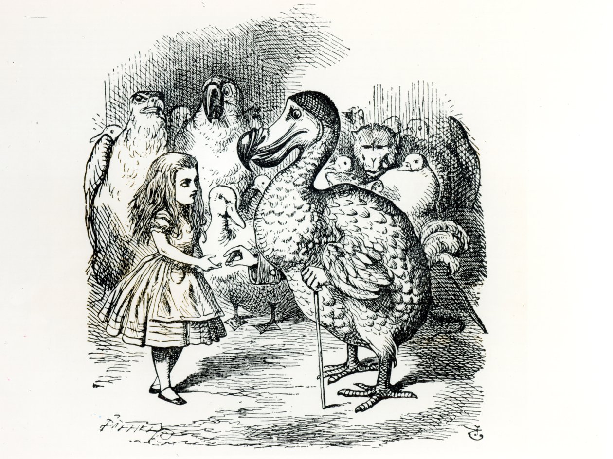 Alice meets the Dodo, ilustrace z 