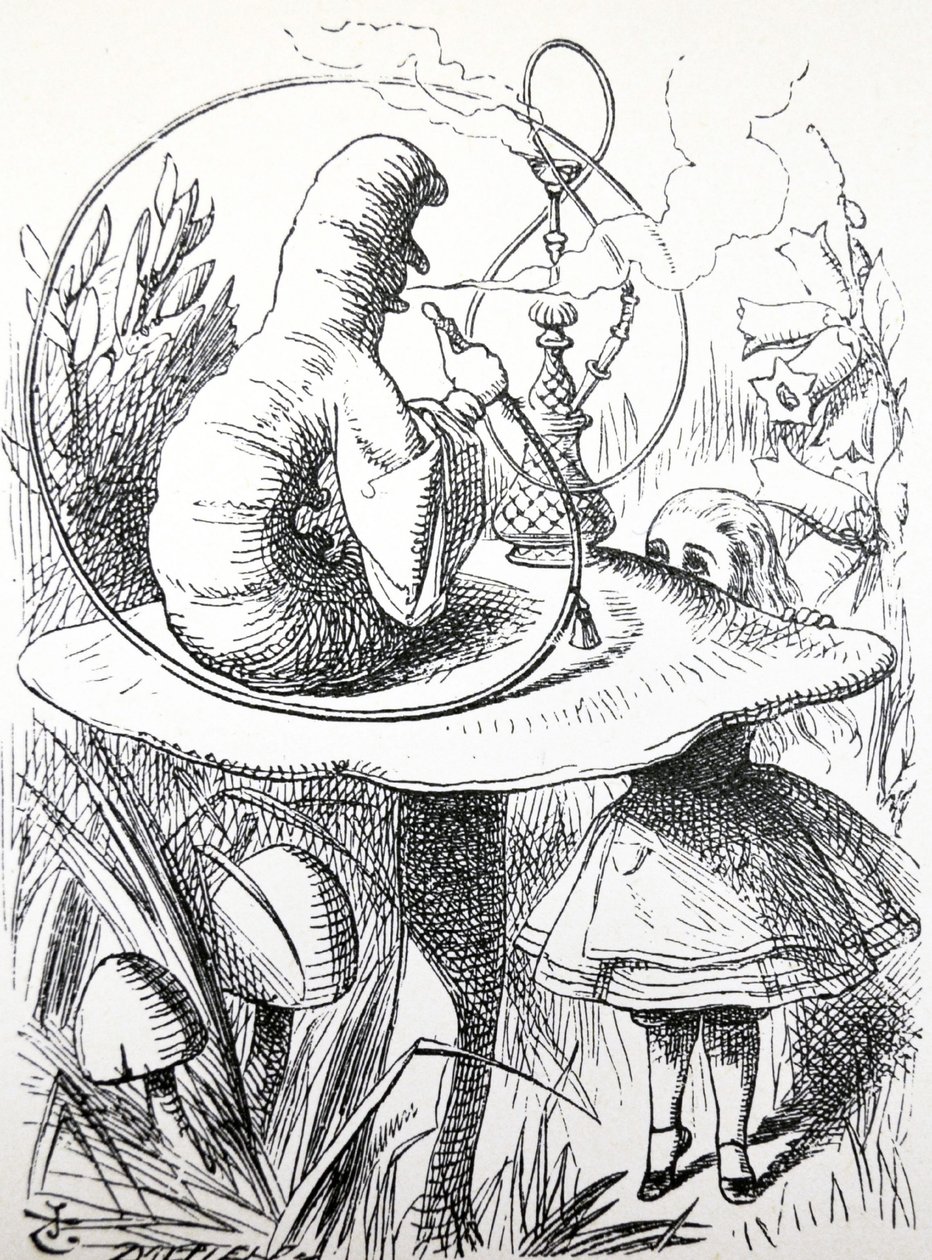 Alenka dobrodružství v říši divů, 1865 od John Tenniel