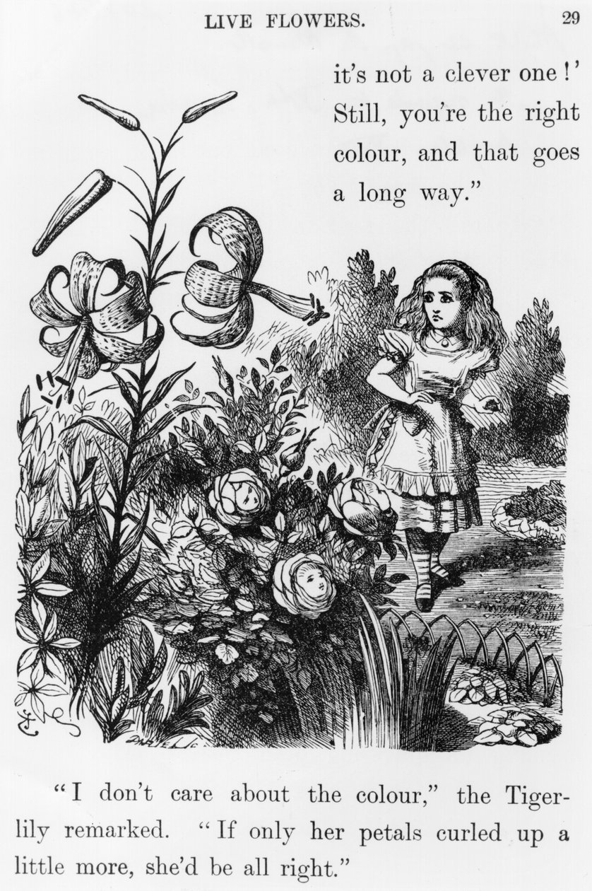 Tiger Lily, z 