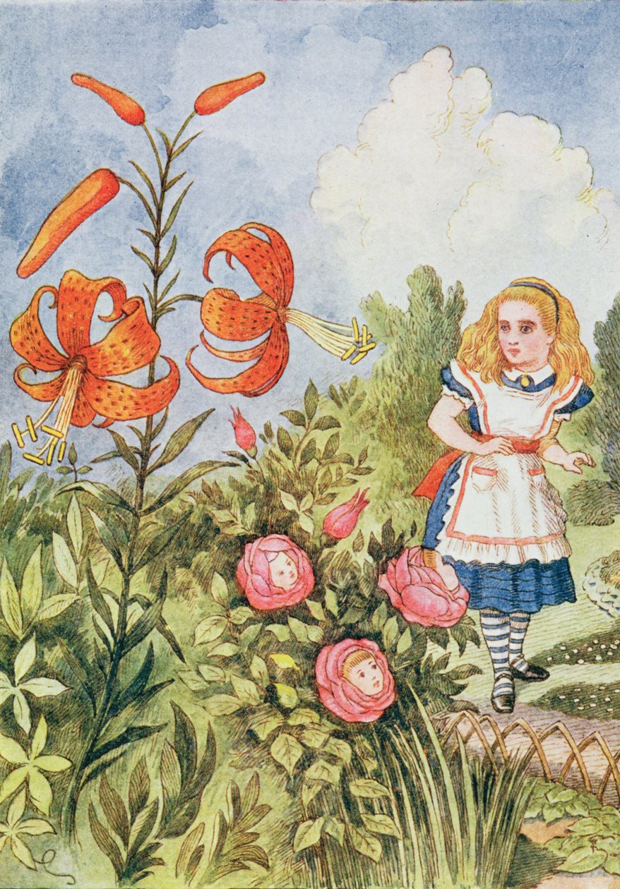 Tiger Lily, z 