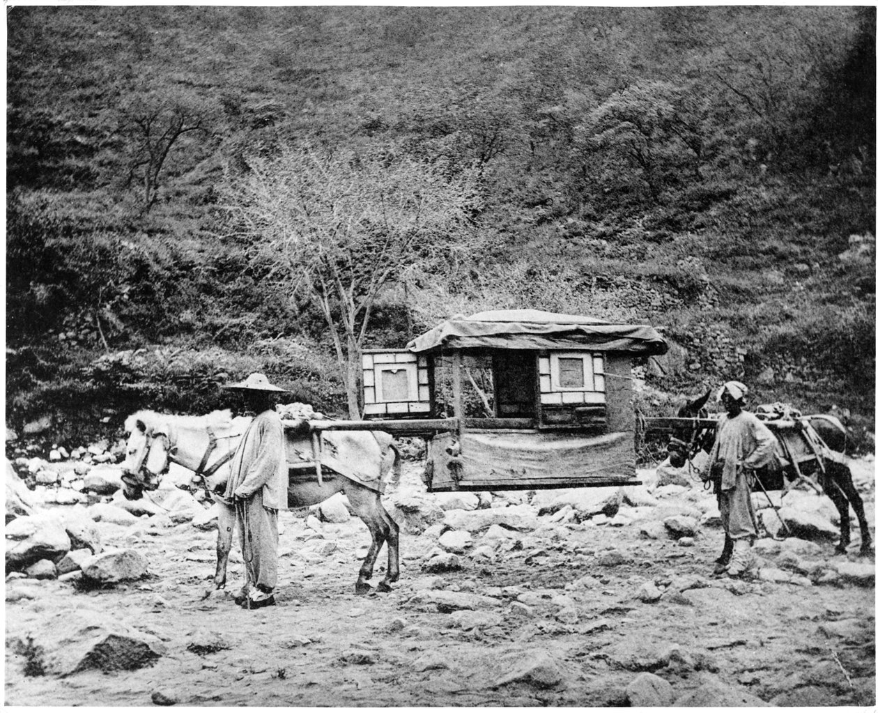 Vrh pekinských mulů, kolem 1867-72 od John Thomson