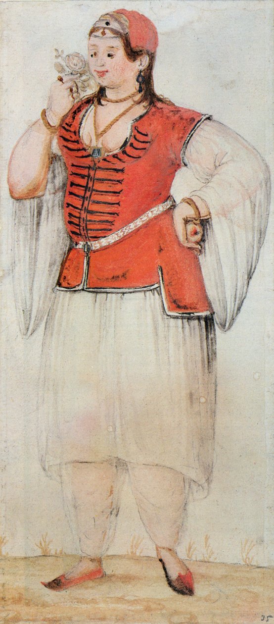 Řeka nebo turecká žena od John White