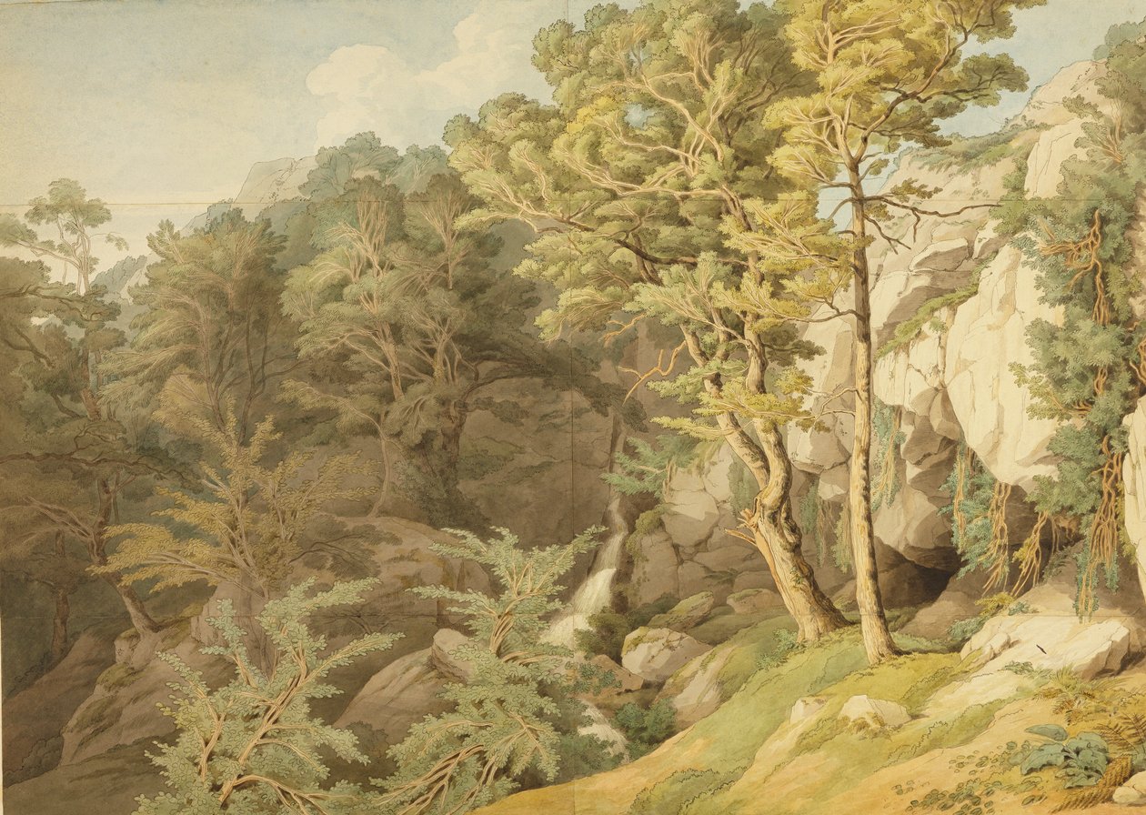 Canonteign, Devon, 1804 (pero a inkoust a wc na papíře) od John White Abbott
